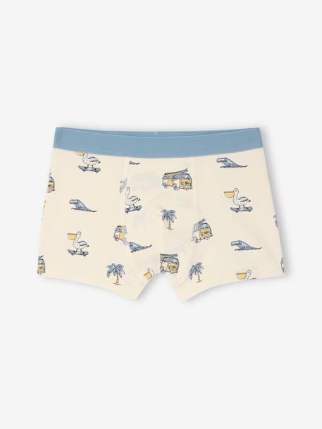 Bio-Kollektion: 5er-Pack Jungen Stretch-Boxershorts himmelblau 3