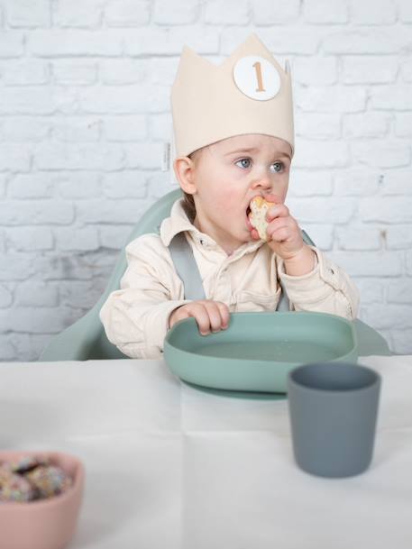 Baby Esslern-Teller mit Saugnapf BEABA grün+rosa 3